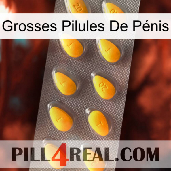 Grosses Pilules De Pénis cialis1.jpg